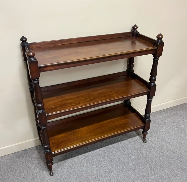19th Century Open Shelf Server